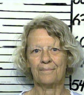 Sylvia Ann Brink-Warnock