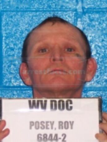 Roy B Posey Jr.