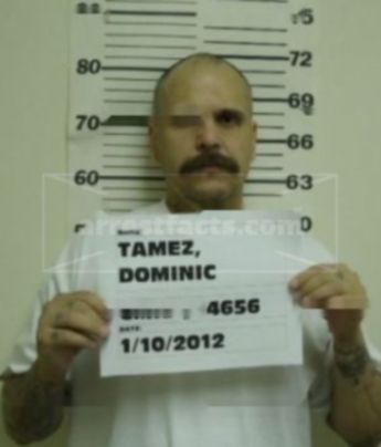 Dominic William Tamez