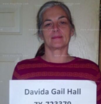 Davida Gail Hall