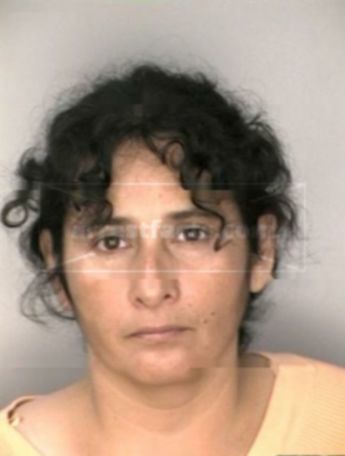 Angie Lopez Pineda of Florida, arrests, mugshots, and charges Updated ...