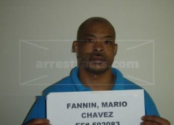 Mario Chavez Fannin