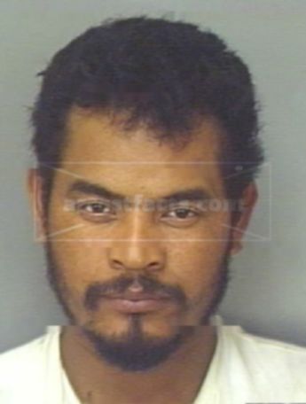 Martin Bolanos