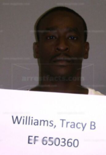 Tracy Bernard Williams