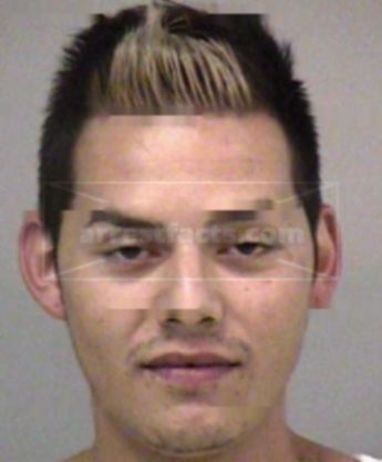 Nicholas M Nino