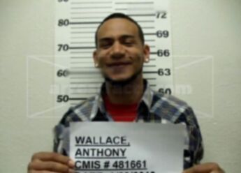 Anthony Michael Wallace
