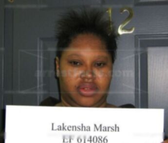 Lakensha Marsh