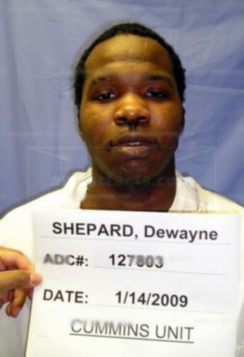 Dewayne D Shepard