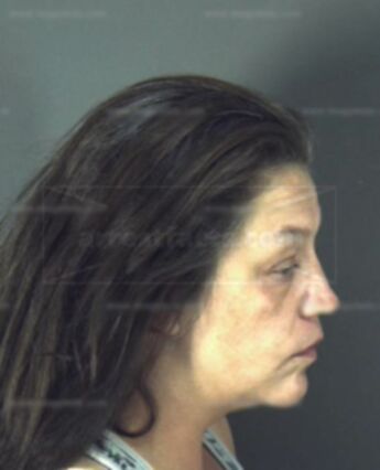 Bobbie Michelle Collins