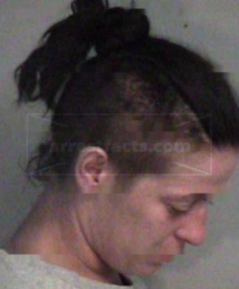 Stacey L Cook