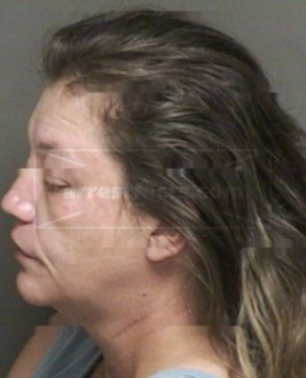 Bobbie Michelle Collins