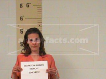 Allison Nichole Clarkson