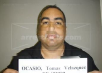 Tomas Velazquez Ocasio