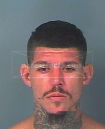 Walter Tyler Perkins