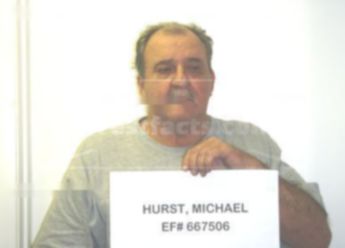 Michael C Hurst