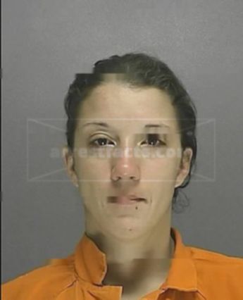 Christine Michelle Baumgardner