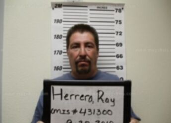 Ray G Herrera