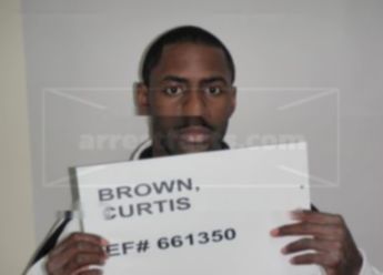 Curtis Brown