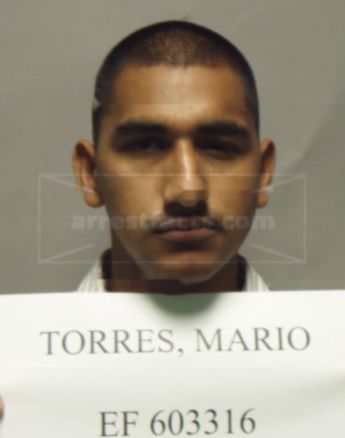 Mario Mendoza Torres