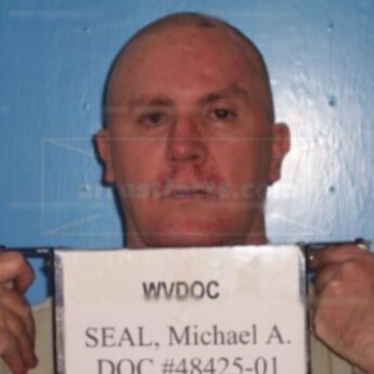 Michael A Seal