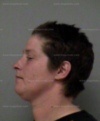 Stacey L Cook