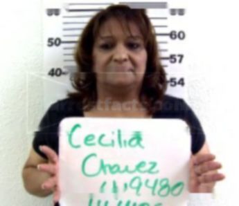 Cecilia Ann Chavez