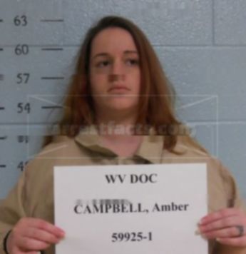Amber L Campbell