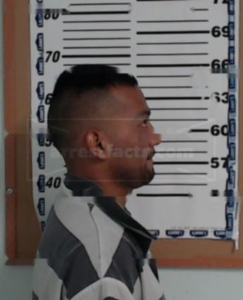 Fernando Mora-Peralta