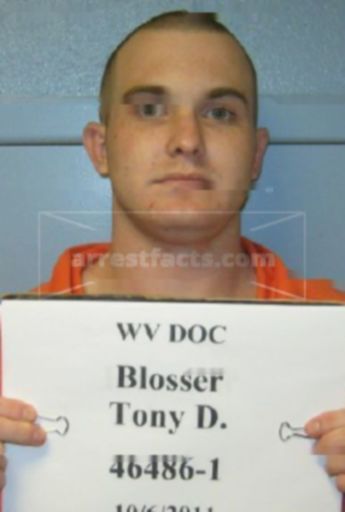 Tony D Blosser