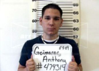 Anthony Goimarac