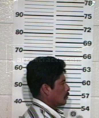 Guadalupe Moreno Chavez