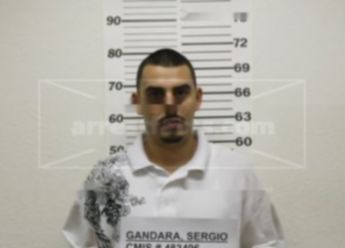 Sergio Gandara Jr.