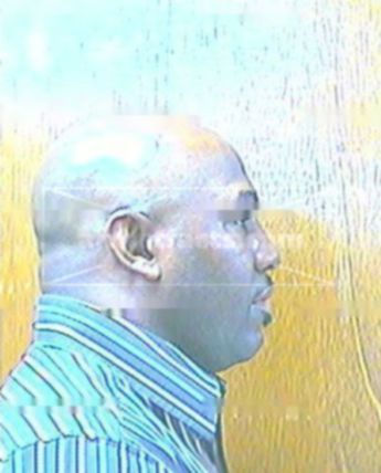 Michael Albin Johnson
