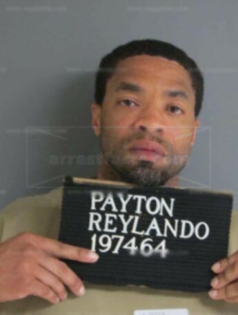 Reylando M Payton