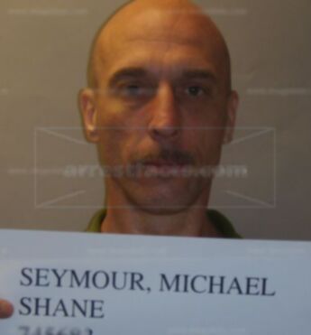 Michael Shane Seymour