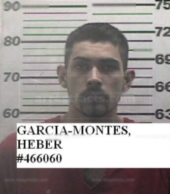 Heber Garcia-Montes