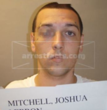 Joshua Lebron Mitchell