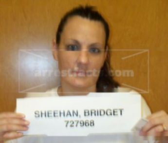 Bridget Ann Sheehan