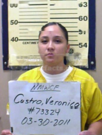 Veronica Franchesca Castro