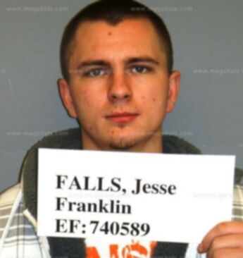 Jesse Franklin Falls