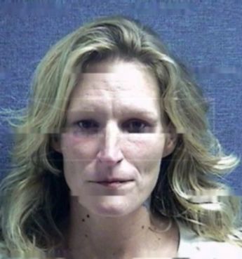 Robin Renee Breshears