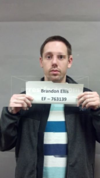 Brandon Lee Ellis