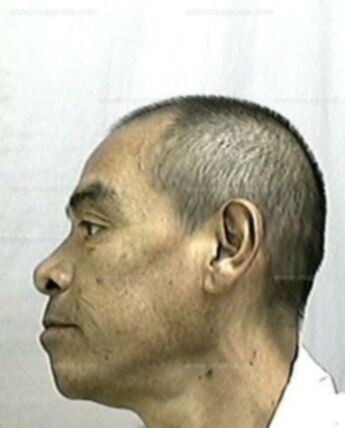 Vincent P Ibarra