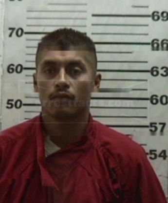 Eliseo Garcia-Morales Jr.