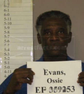 Ossie L Evans