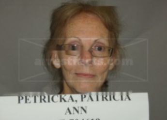 Patricia Ann Petricka