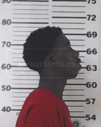 Norris Dewayne Robert