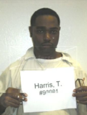 Timothy T Harris