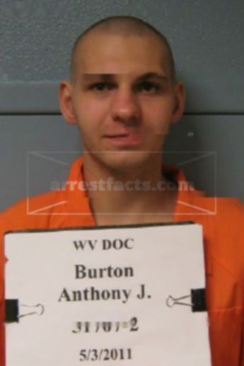 Anthony James Burton