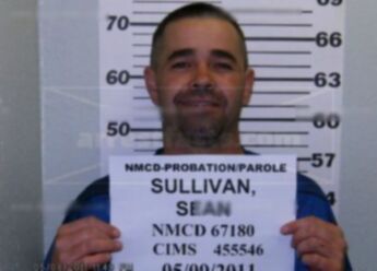 Sean Patrick Sullivan